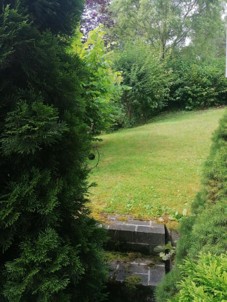 Fewo Grenzenlos In Ramsberg Pleinfeld Dış mekan fotoğraf